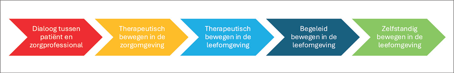 FIGUUR 1. De Beweegreis beschrijft de verschillende beweegmogelijkheden – van therapeutisch bewegen in de zorg tot en met zelfstandig bewegen in de eigen leefomgeving – en de routes die daarin kunnen worden gevolgd.